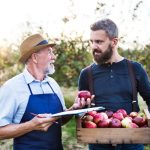 Orchard Orchard